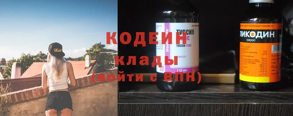 твердый Богданович