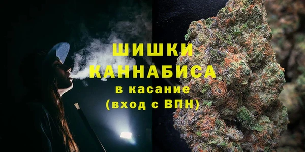 твердый Богданович