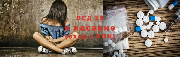 гашик Бородино