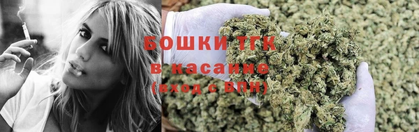Альфа ПВП Бугульма