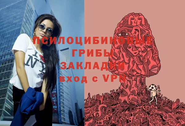 Альфа ПВП Бугульма