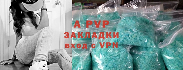 твердый Богданович